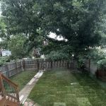 TrueCare Landscaping LLC