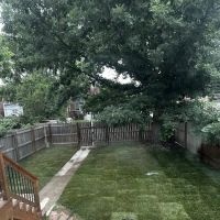 TrueCare Landscaping LLC ico