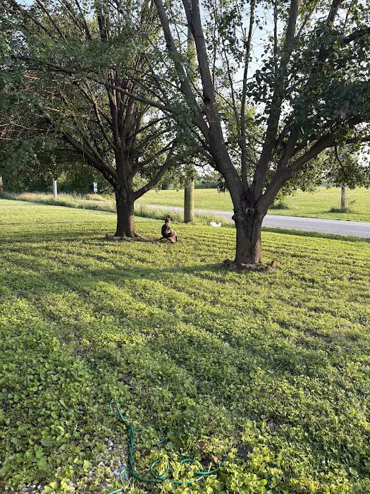 LandEscape Lawn Care Picture 1