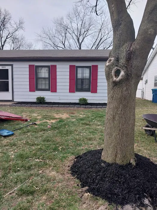 Diamond Cut Lawn Care Picture 5