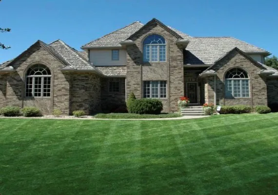 Diamond Cut Lawn Care Picture 9