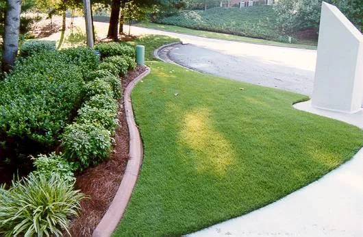 Diamond Cut Lawn Care Picture 3