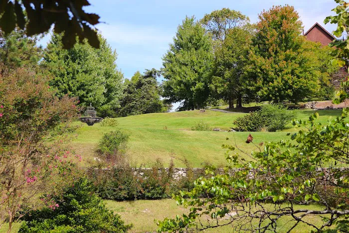Focal Pointe Picture 6