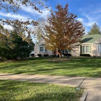 Grizzly Greens Lawn Care and Landscaping ico