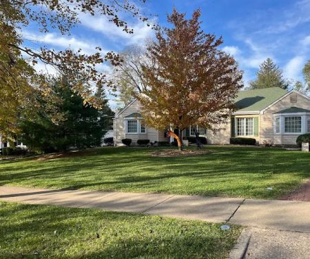 Grizzly Greens Lawn Care and Landscaping