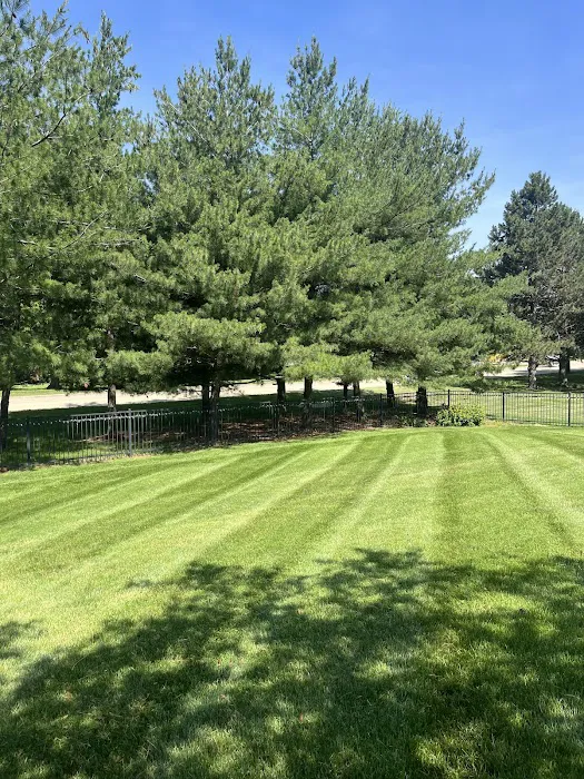Grizzly Greens Lawn Care and Landscaping Picture 2