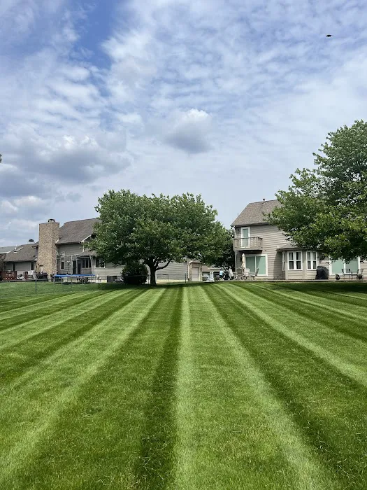 Grizzly Greens Lawn Care and Landscaping Picture 6