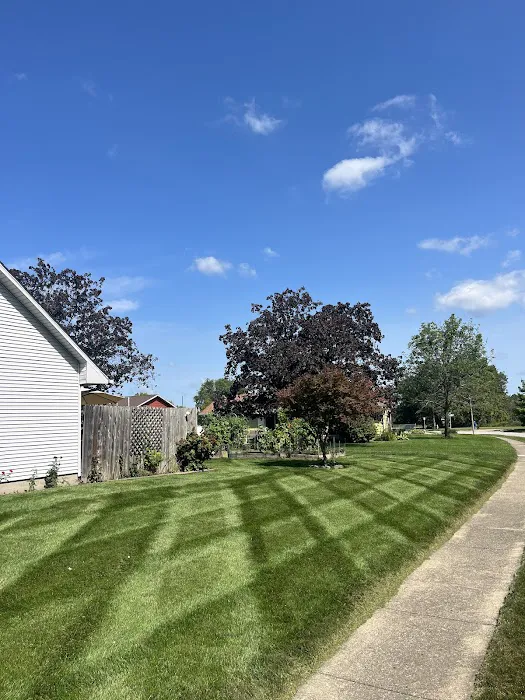 Grizzly Greens Lawn Care and Landscaping Picture 4