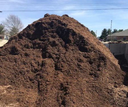 Maske's Organic Gardening