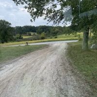 BOAZ EXCAVATING AND LAND MANAGEMENT LLC ico