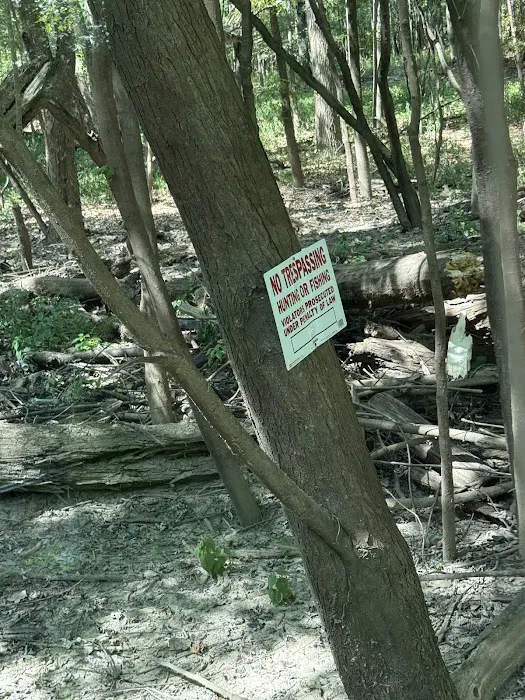 BOAZ EXCAVATING AND LAND MANAGEMENT LLC Picture 10