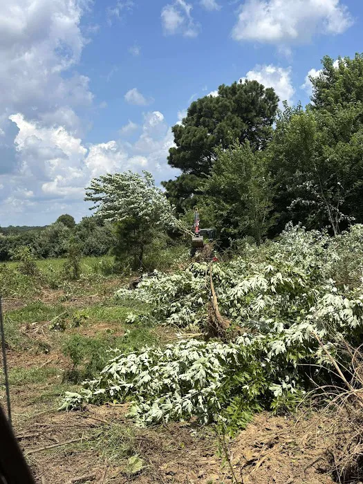 BOAZ EXCAVATING AND LAND MANAGEMENT LLC Picture 8