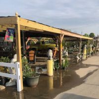 The PLANT CENTER/Family Lawn Care ico