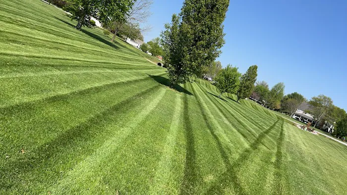 Main Street Lawn & Landscape Picture 9