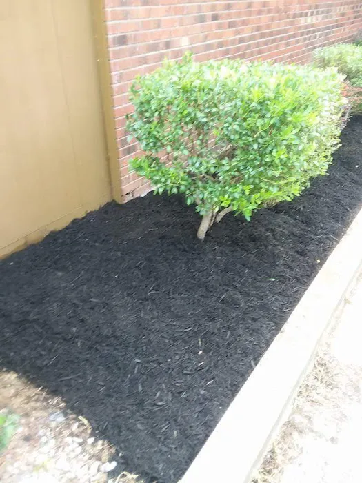 LANDSCAPING. D.H.C Picture 2