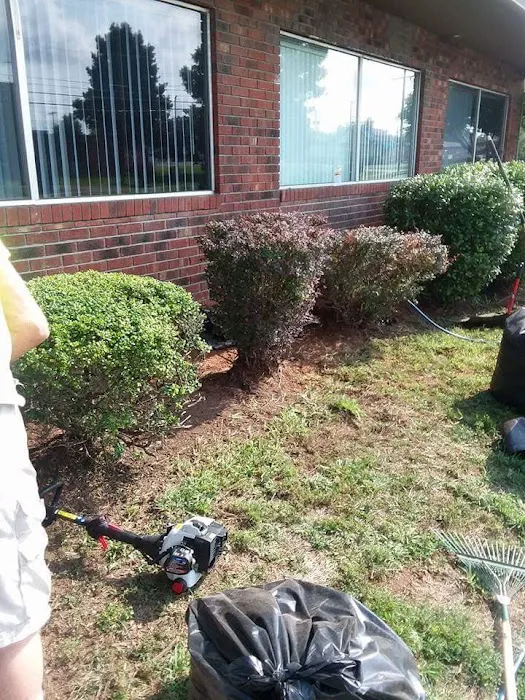 LANDSCAPING. D.H.C Picture 3