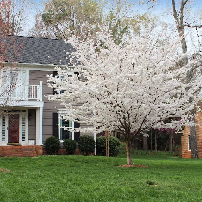 Landscape Designs Picture 3
