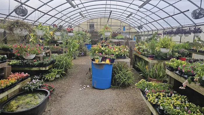 Plant Land Garden Center & Lakeside Brewing Supplies Picture 3