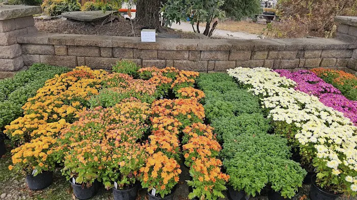 Plant Land Garden Center & Lakeside Brewing Supplies Picture 5