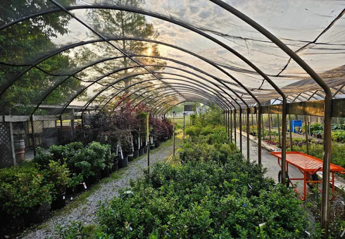 Plant Land Garden Center & Lakeside Brewing Supplies Picture 4