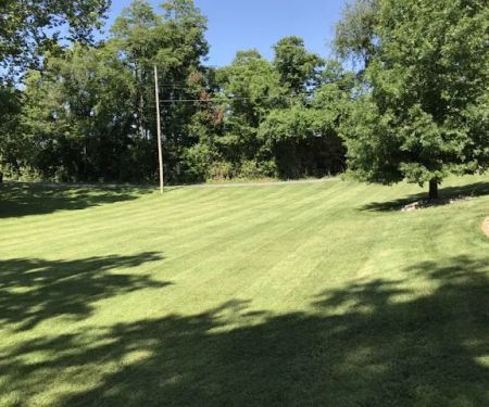 Fresh Cut Turf Pros