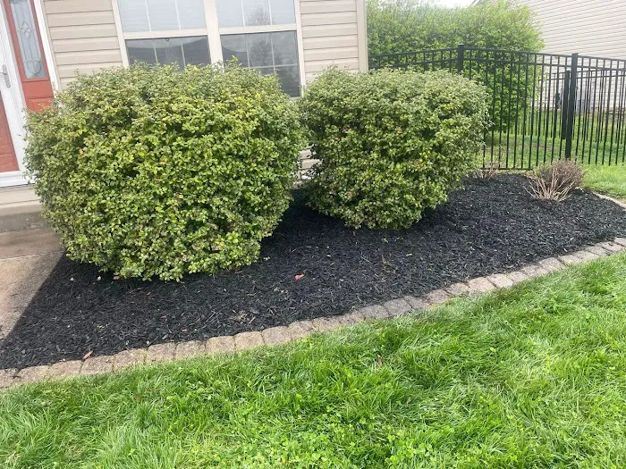 Andrew's Lawn Service LLC Picture 5