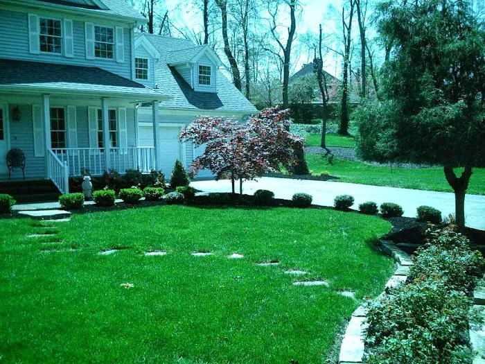 Z Scapes Landscaping Picture 1