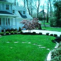 Z Scapes Landscaping ico