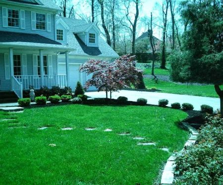 Z Scapes Landscaping