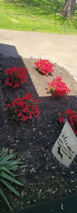 Cutting Edge Lawn Care LLC Picture 2