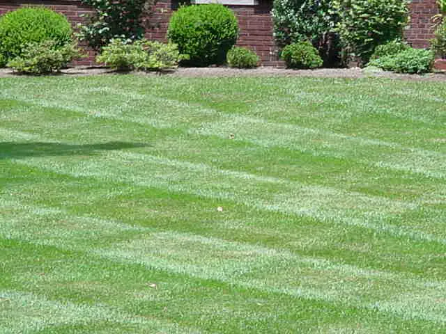 Cutting Edge Lawn Care LLC Picture 3