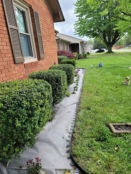 JThomas Lawn Care Services LLC Picture 5