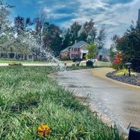 Greensmen Landscaping Solutions ico