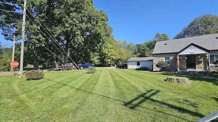502 Lawn Care & Landscaping Picture 1