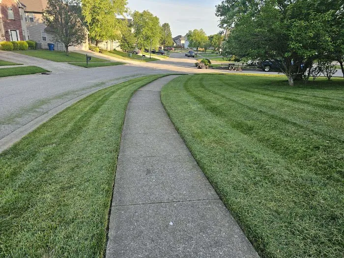 502 Lawn Care & Landscaping Picture 3