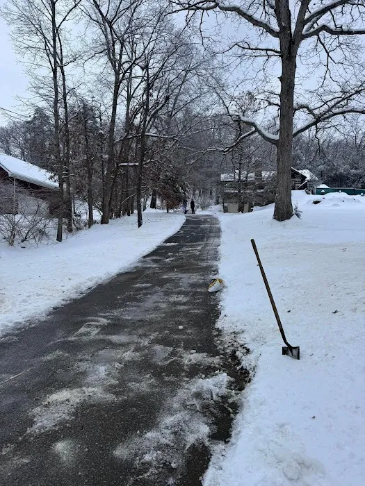 502 Lawn Care & Landscaping Picture 2