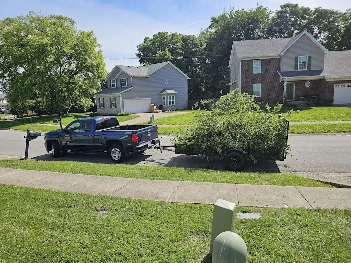 502 Lawn Care & Landscaping Picture 7