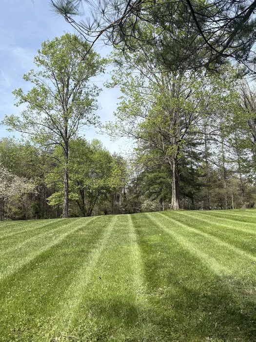 Blades Lawn & Landscape LLC Picture 7