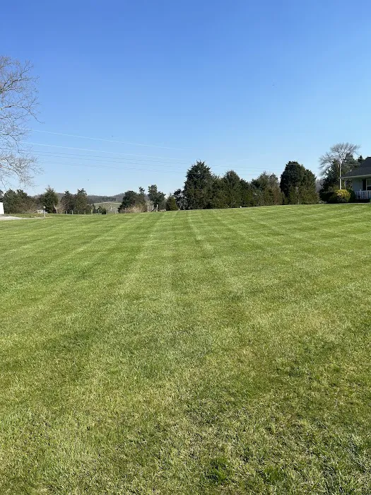 Blades Lawn & Landscape LLC Picture 9