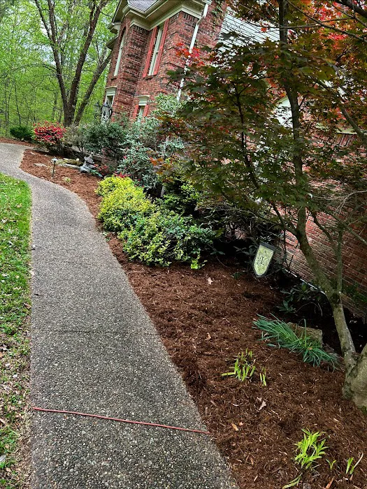 Blades Lawn & Landscape LLC Picture 10