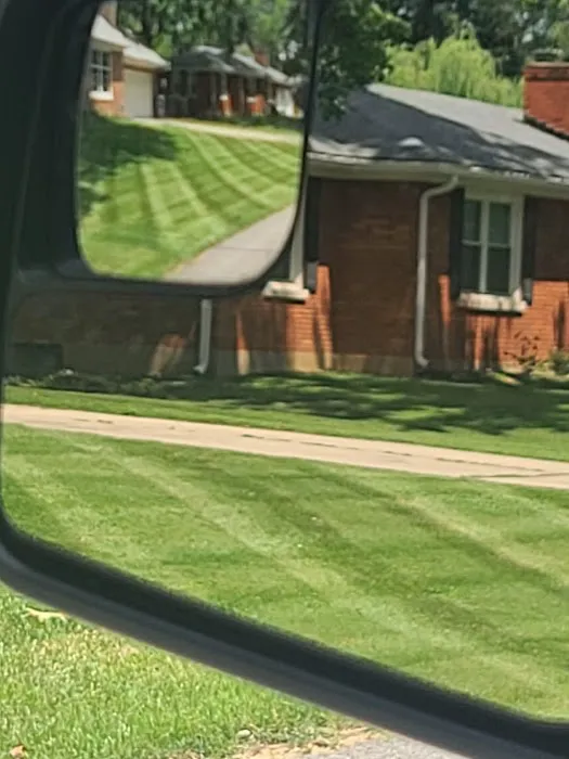 Modern Lawn and Landscape LLC Picture 7