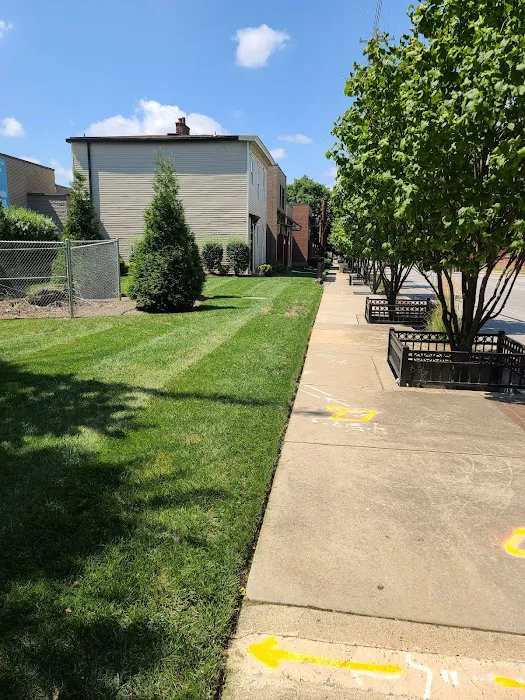 Modern Lawn and Landscape LLC Picture 6