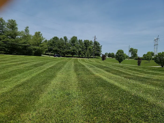 Modern Lawn and Landscape LLC Picture 1