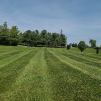 Modern Lawn and Landscape LLC ico