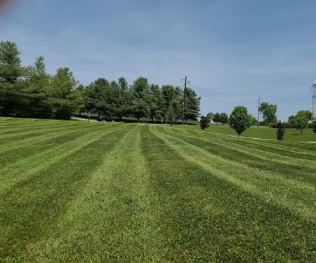 Modern Lawn and Landscape LLC