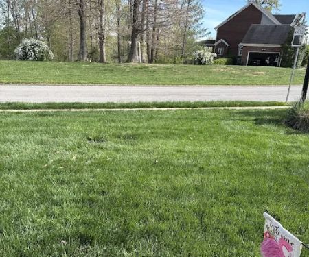 Lawn Doctor of Hardin County