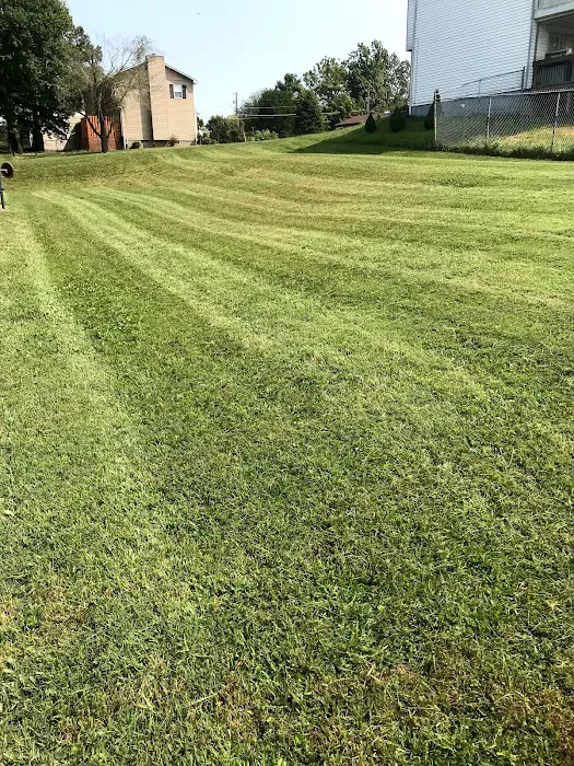 BLC Lawn Care LLC Picture 1