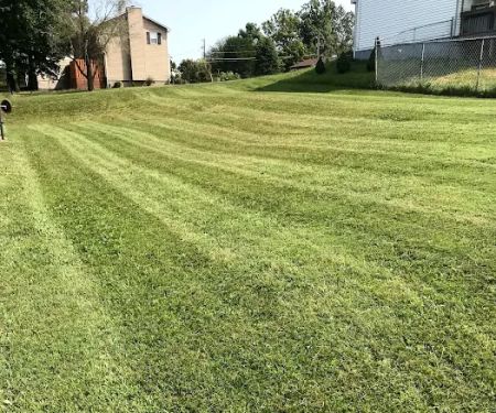 BLC Lawn Care LLC