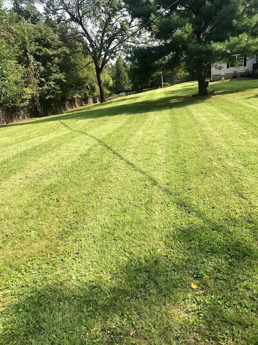 BLC Lawn Care LLC Picture 4