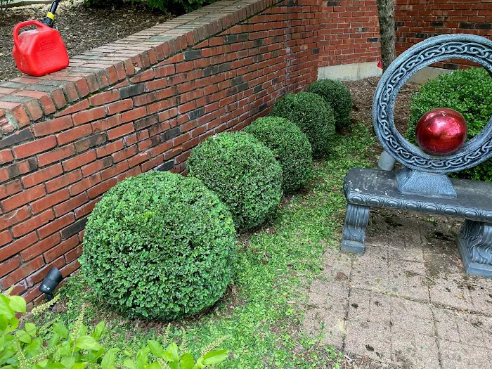 Mulch Man Property Maintenance LLC Picture 8